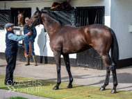 NH051025-45 - Thewoodcorner